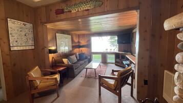 TV connectée, cheminée, lecteur de DVD, livres