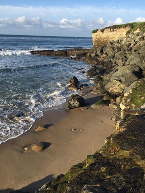 Beach nearby, sun-loungers