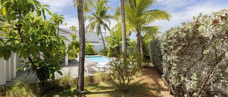 A backyard with a pool, palm trees, and a white fence.