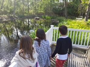 Property grounds - End of Cul De Sac Nice Bike Ride to Main Beach on back roads. Pond Setting. (East Hampton)