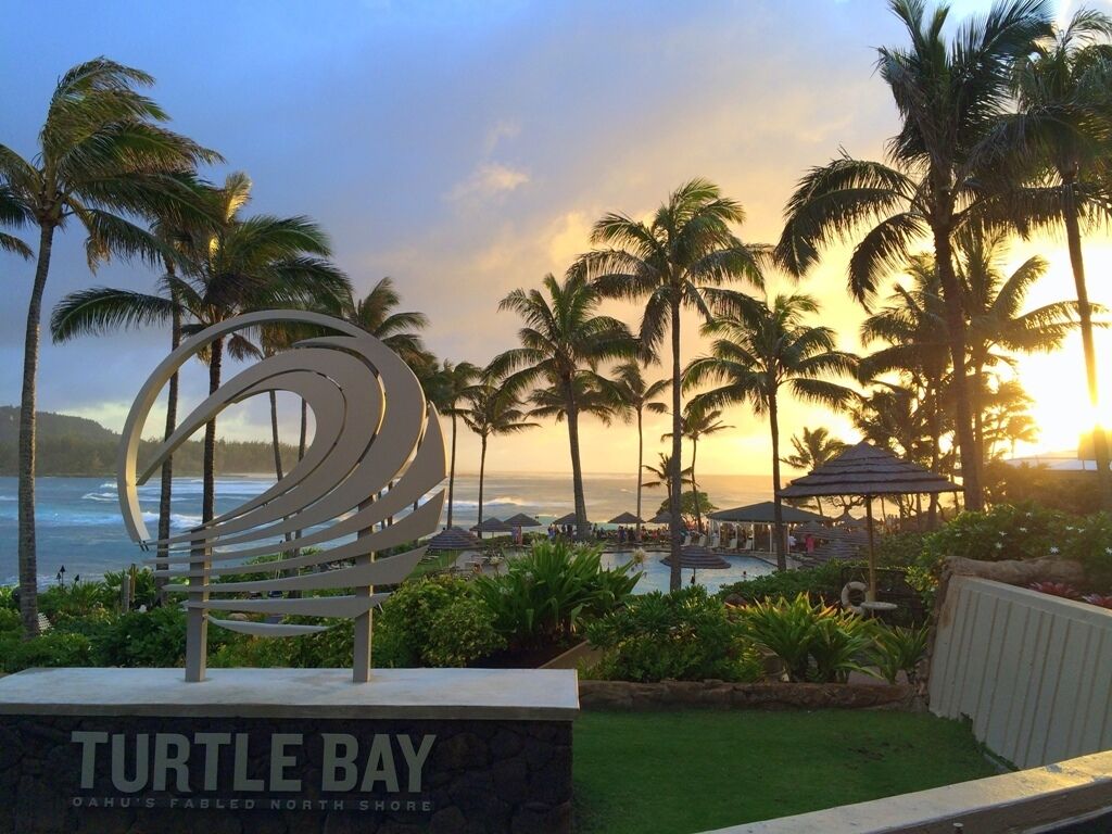 Un resort con un cartel que dice "Turtle Bay" y vista al océano con palmeras.
