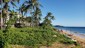Un hôtel situé en bord de mer, composé de plusieurs bâtiments à étages, avec une plage de sable et des palmiers.