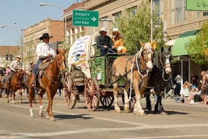 A parade with horse-drawn carriages and people riding horses.