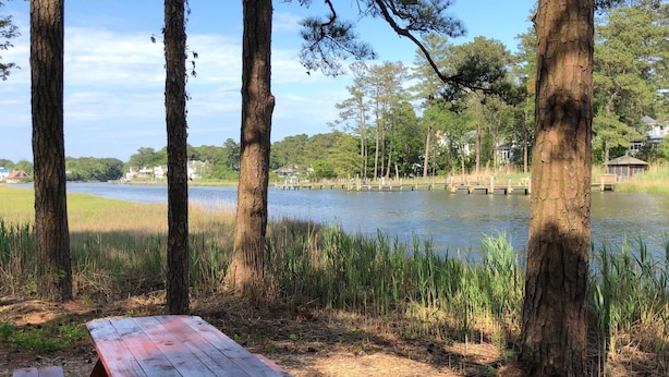 Une table de pique-nique en bois, située dans un espace boisé, avec un lac et des maisons en arrière-plan.