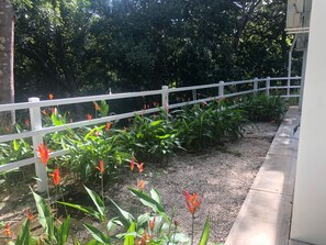 Terrein van de accommodatie