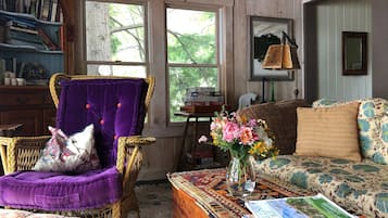 Smart TV, fireplace, DVD player, books