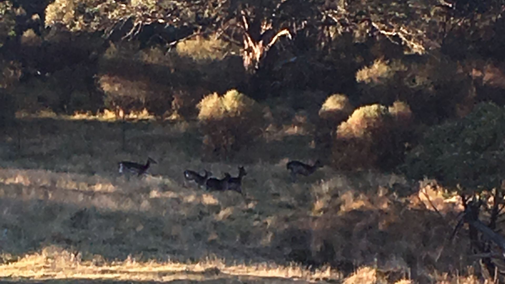 Cosy high country experience in the heart of the Snowy Mountains — image 6