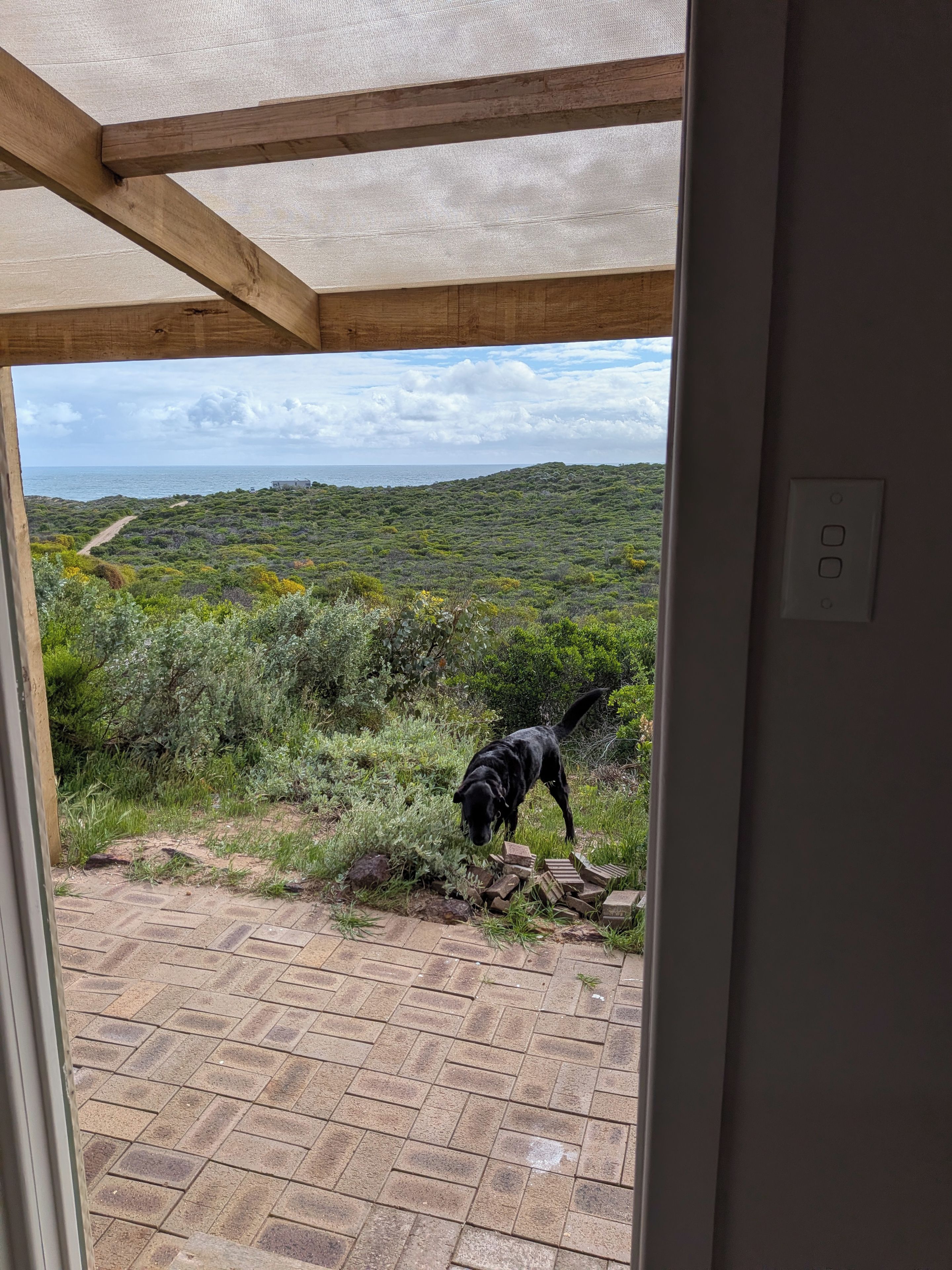 Uitzicht vanuit een deuropening op een terras, met een hond, een metselwerk vloer en een landschap met begroeiing en een verre zeespiegel.
