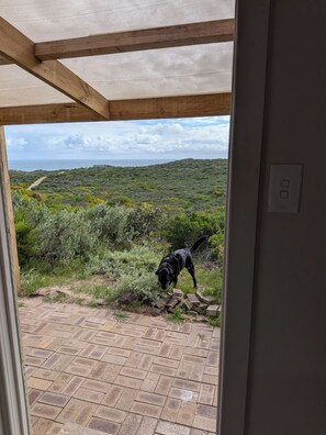 Blick durch eine Tür auf eine Terrasse mit einem Hund, einem Backsteinboden und eine Landschaft mit Vegetation sowie ein weiter Blick auf das Meer.