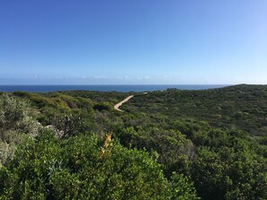 A coastal landscape with dense greenery and a dirt path leading towards the ocean. - Sage cottage at Ecostays  (South Greenough)