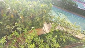 Campo esportivo