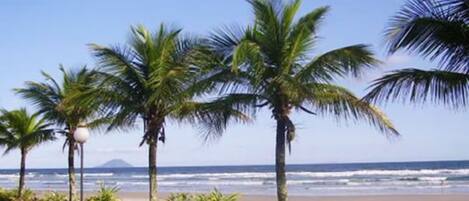 En la playa y camastros