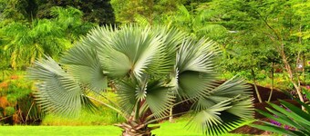 House in Porto Frade condominium, Angra dos Reis - RJ
