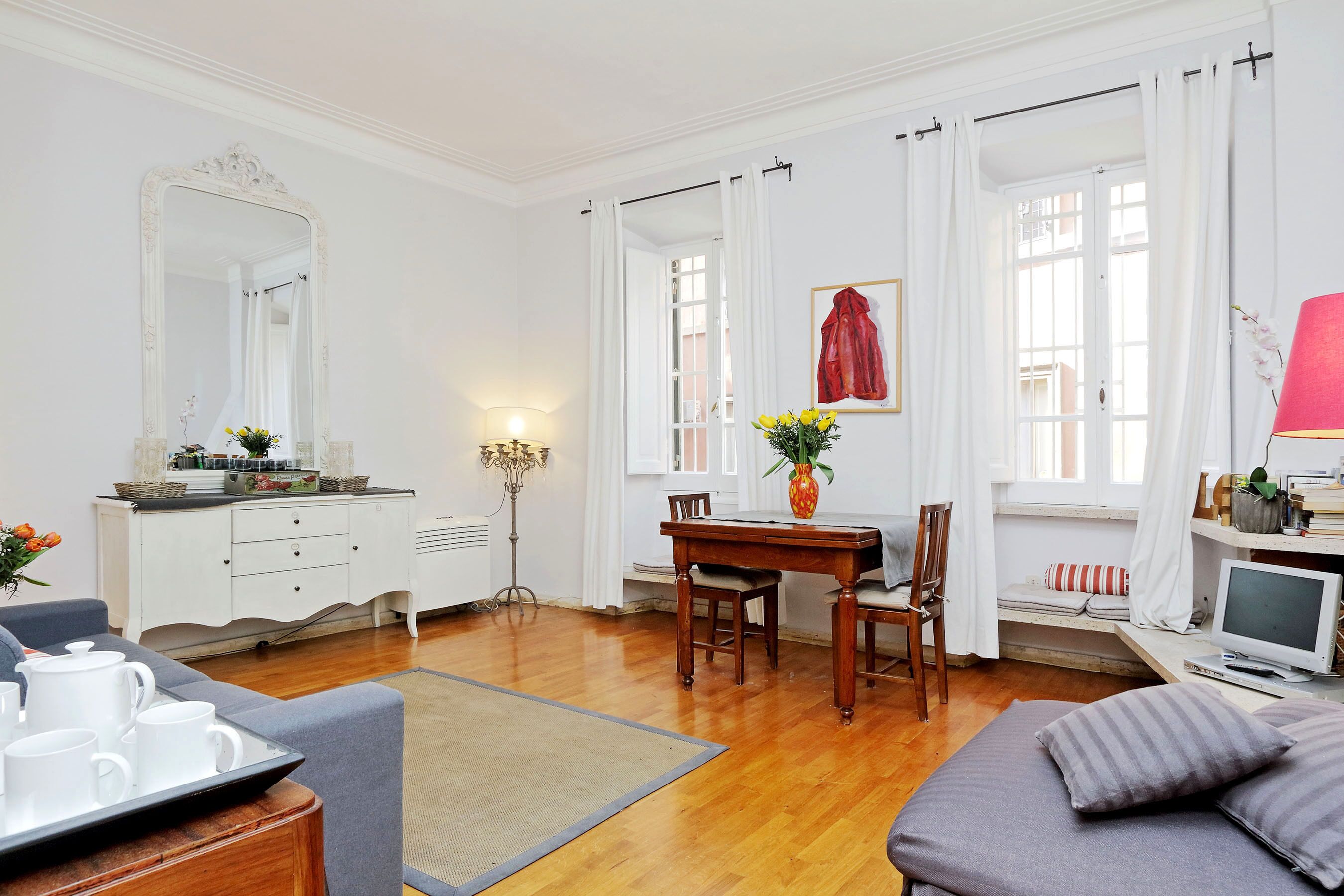 電視、DVD 播放機、書籍