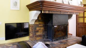 TV connectée, cheminée, jeux vidéo, lecteur de DVD