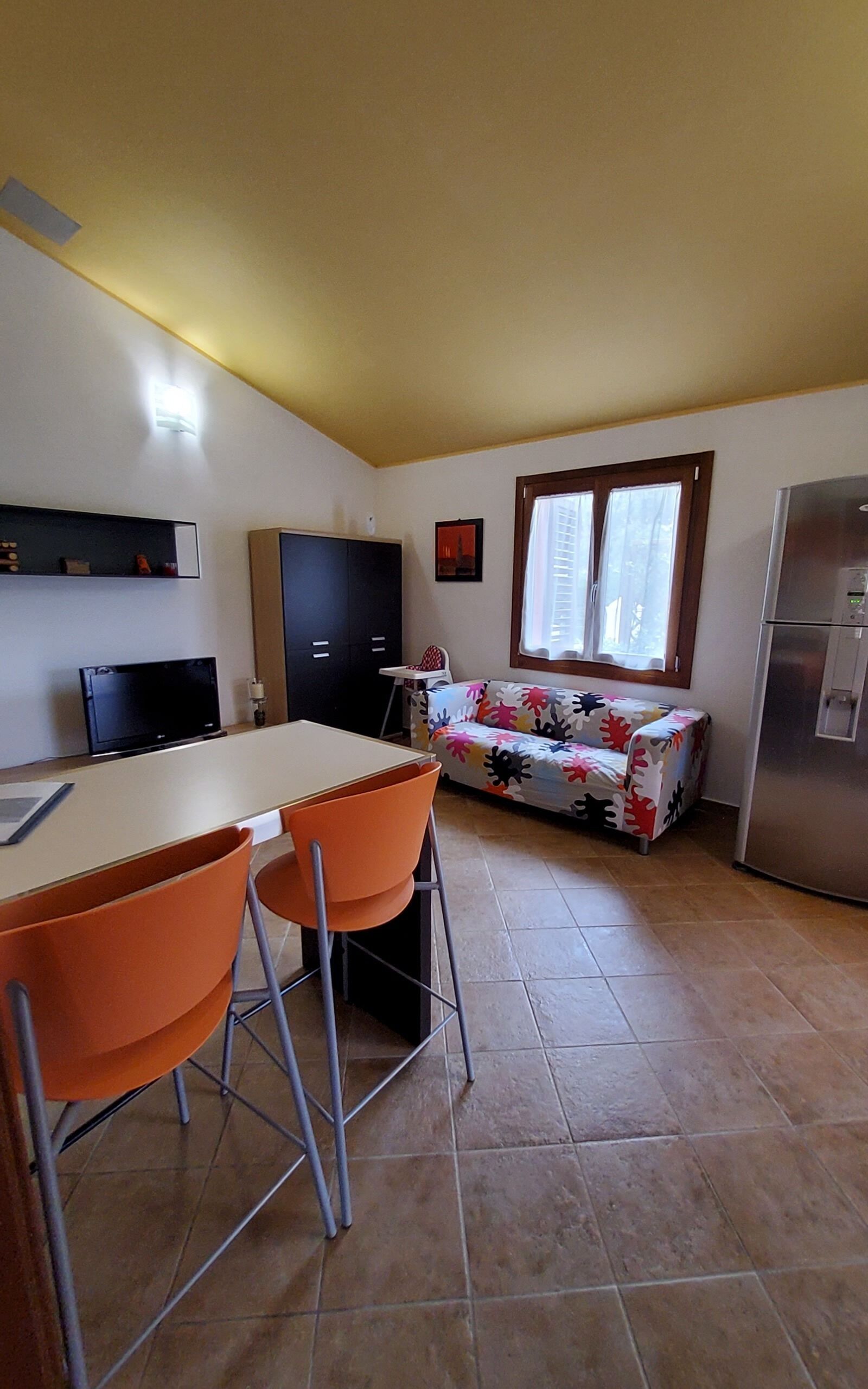 TV, fireplace, stereo