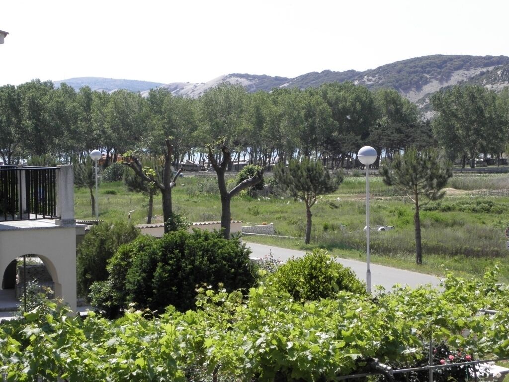 A view of a landscaped area with trees and a pathway.