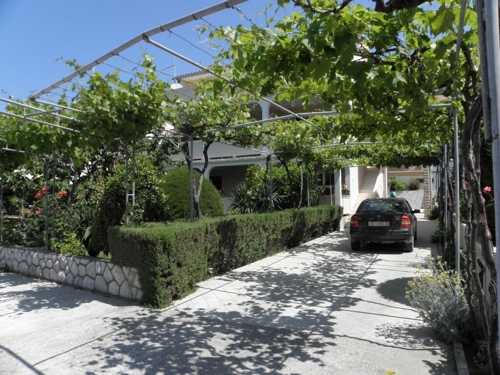 Una calle residencial con un coche aparcado al lado. Se observa un corredor cubierto con follaje por encima.