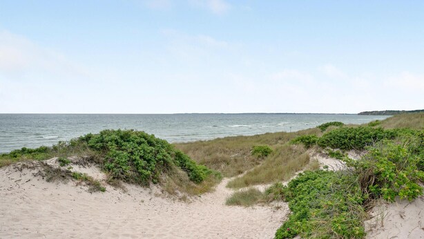 A beach with sand dunes and vegetation.