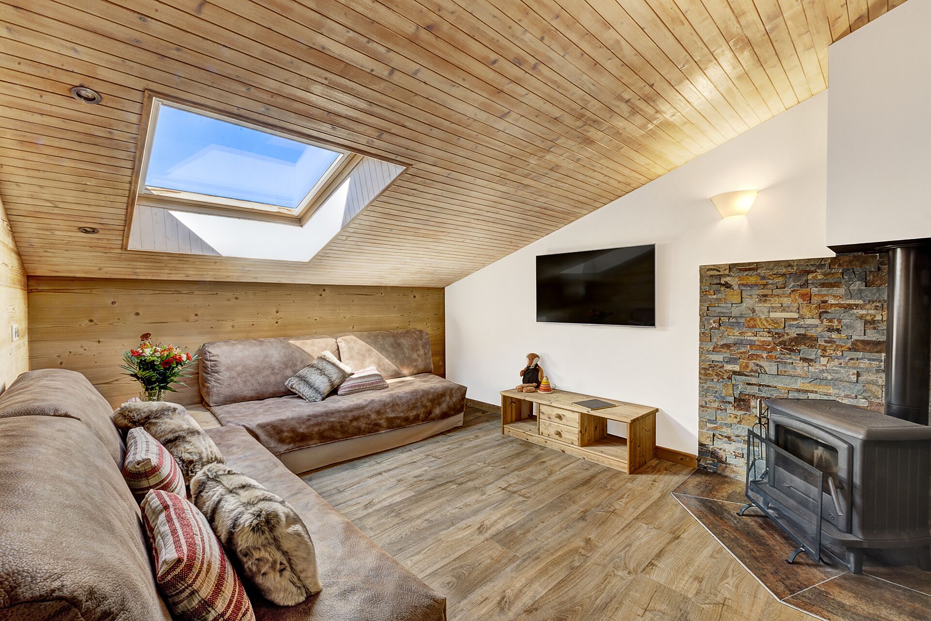 TV, fireplace, ping pong