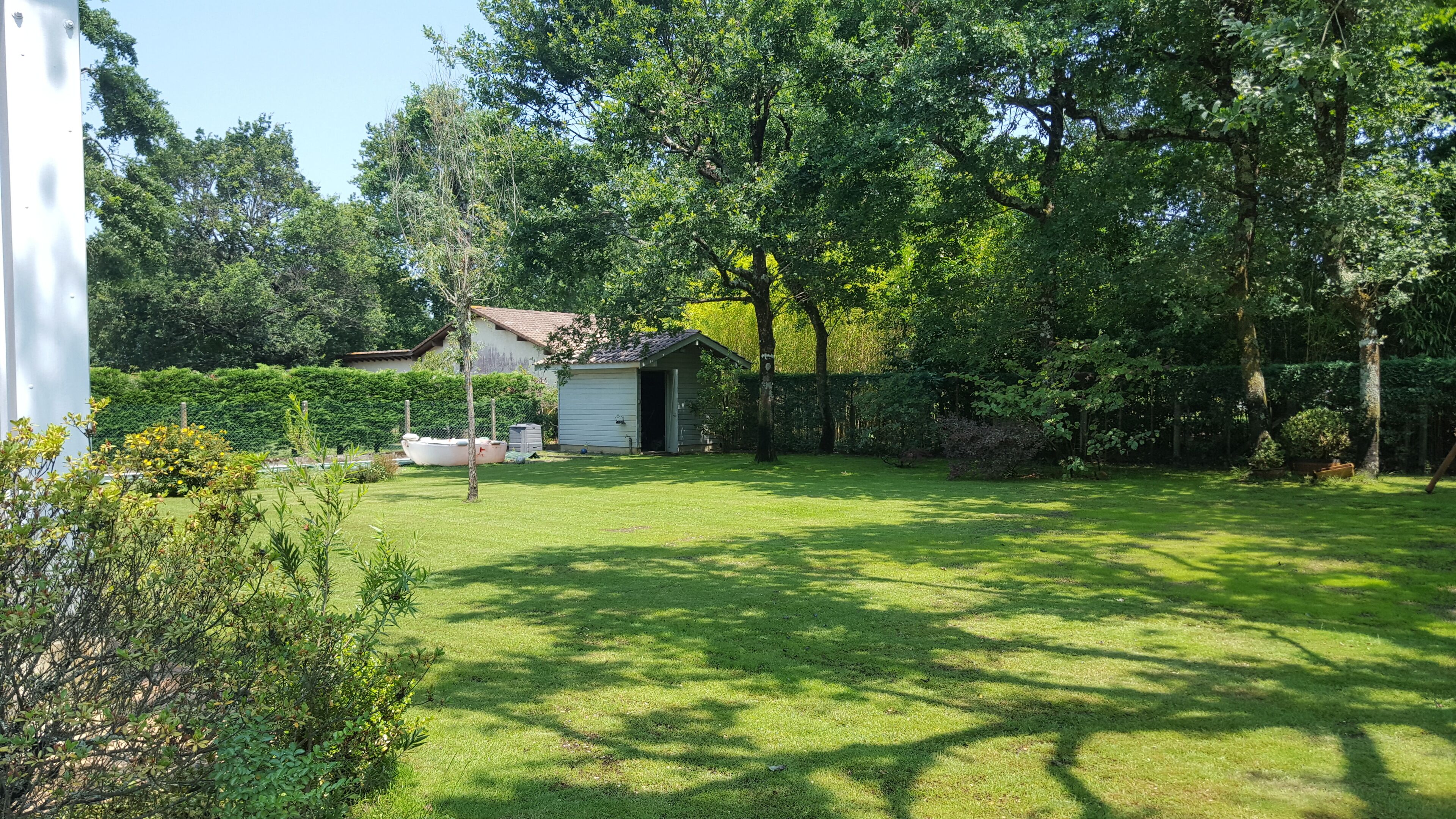 A well-maintained grassy yard with a small shed, a boat, and dense foliage.