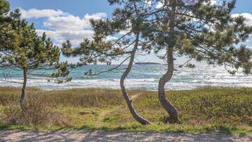 Beach nearby, fishing