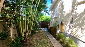 A narrow pathway flanked by bamboo plants and a concrete edge, leading to a building with a white exterior and a visible window. - Le Veloutier: Between sea, mountain and volcano (l'Étang-Salé les Bains)
