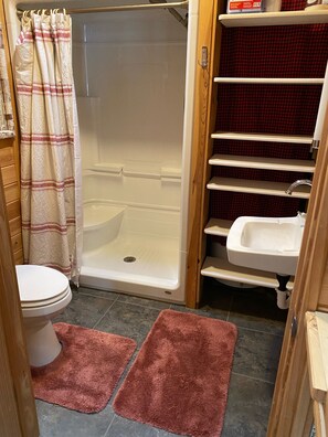 Shower, towels, toilet paper
