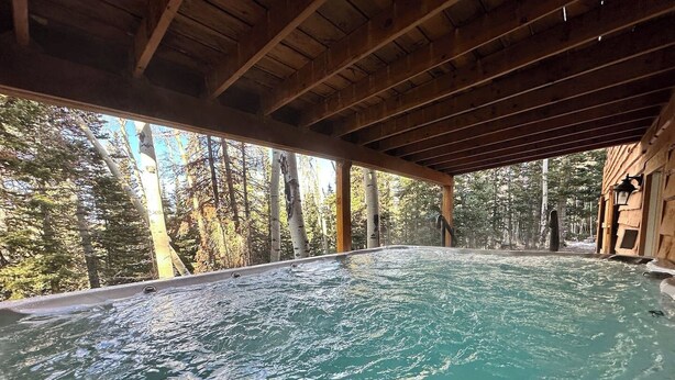 A hot tub in a wooden cabin surrounded by trees.