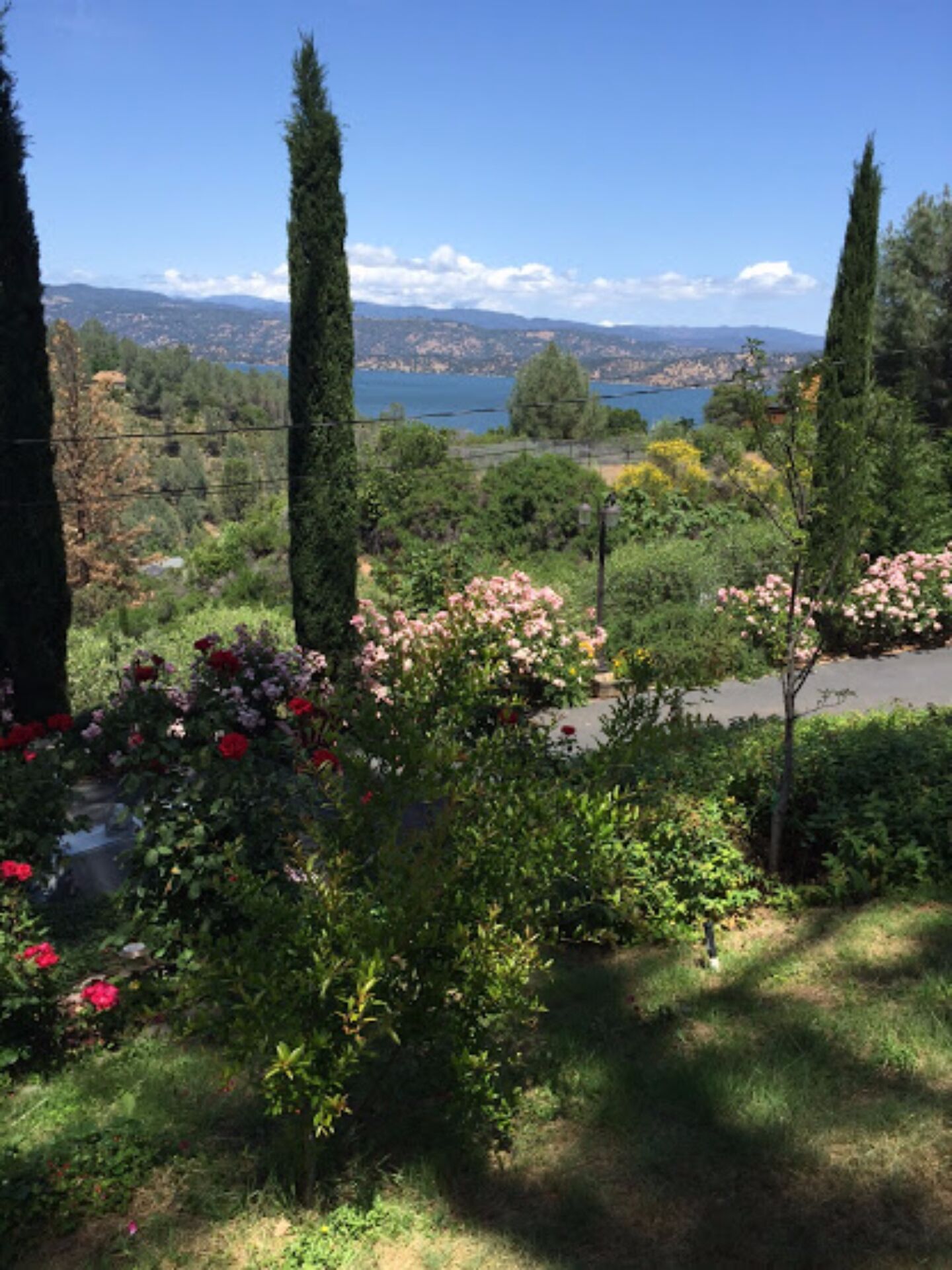 Charming Lake View House in a garden setting