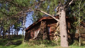 A rustic log cabin surrounded by trees. - Pine Crest- Historic 3 bedroom Log Cabin built in the 1930's by the CCC.   (Custer)