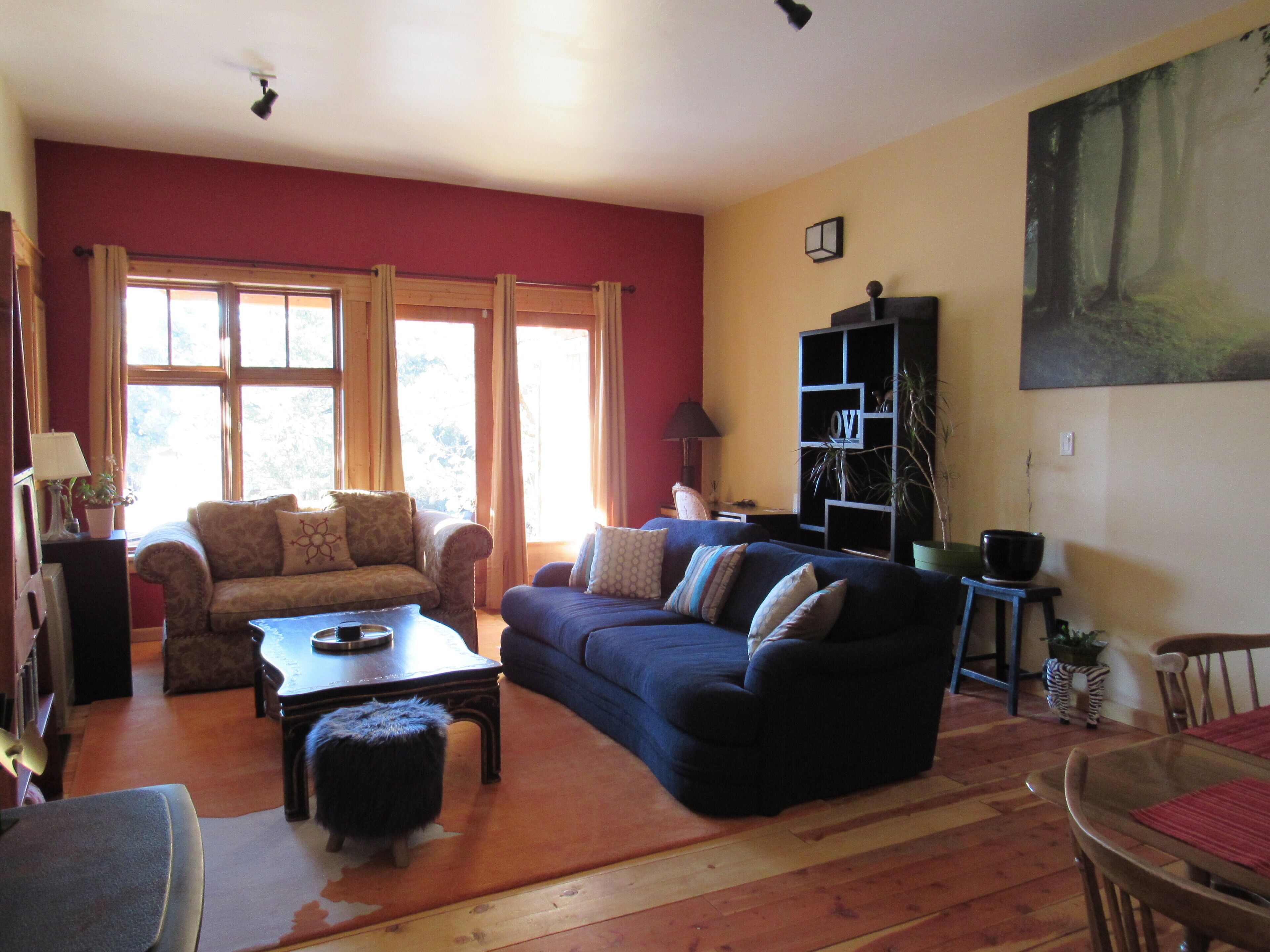 Woodstock -A lovely open, light filled apartment