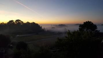 A misty landscape with a road and trees.
