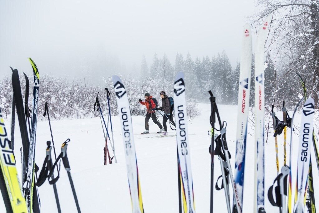 Just a few glides to cross country skiing