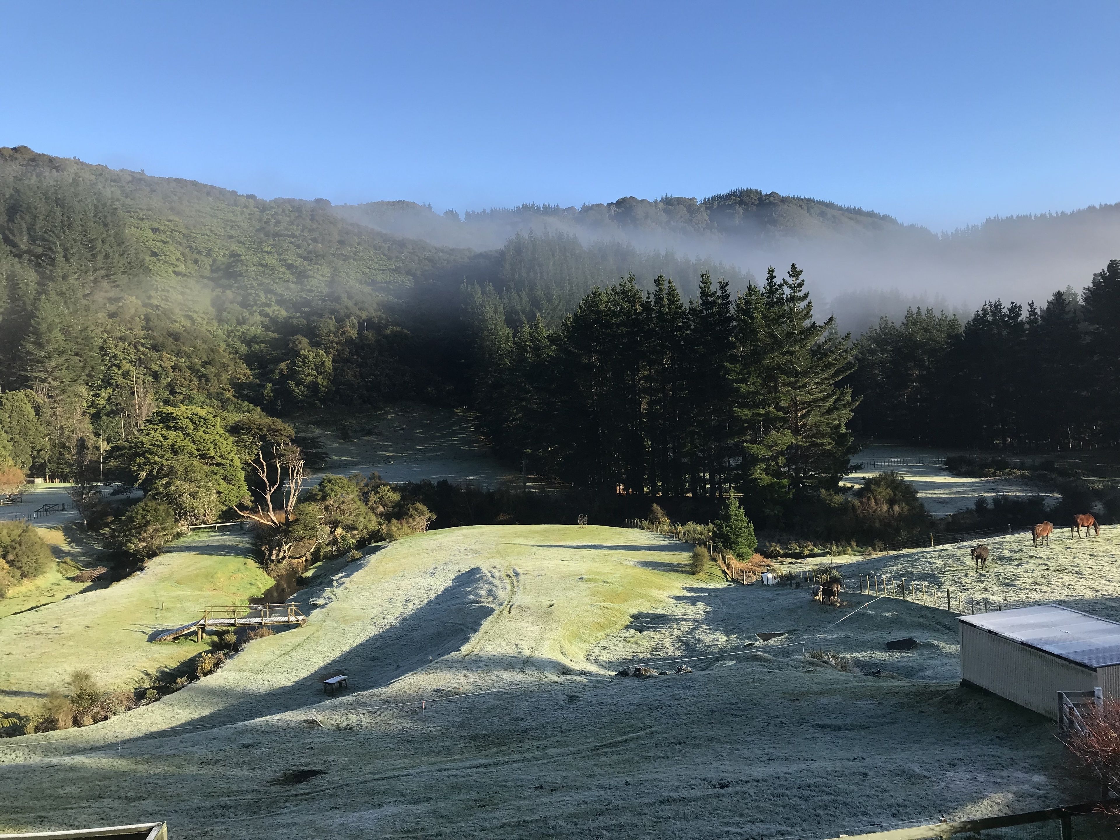 平房, 2 間臥室, 花園景觀 | 花園景
