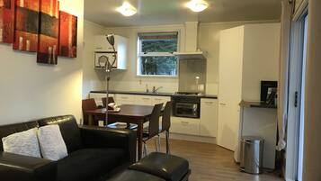 Flat-screen TV, DVD player