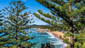 Un paisaje costero con playa, océano y densos bosques de pinos.