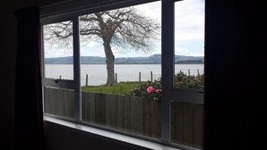 A window with a view of a lake, a tree, and a wooden fence.