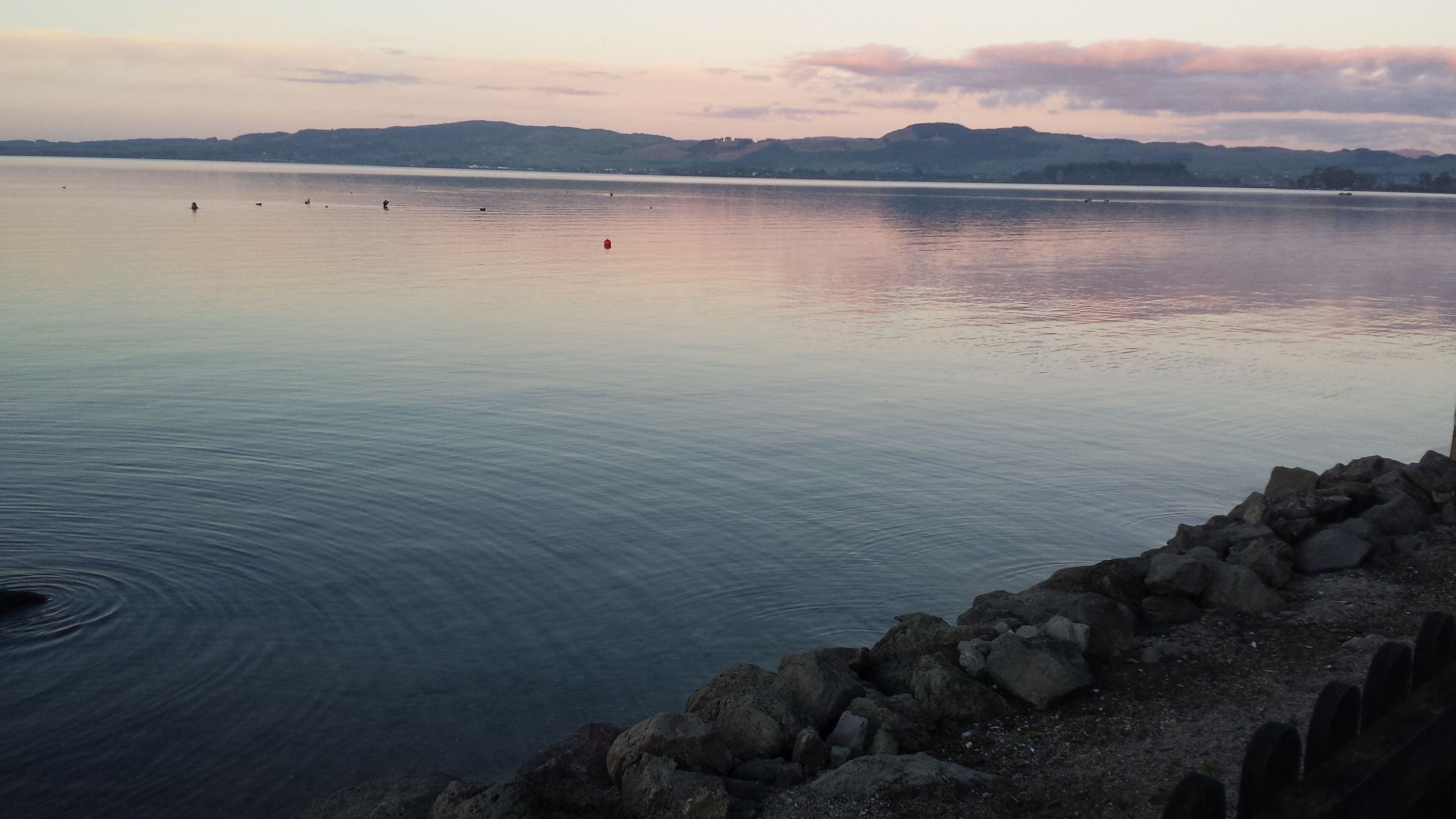 Sillas reclinables de playa, toallas de playa