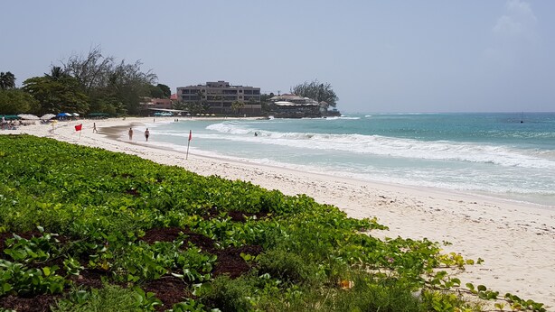 Una playa con un hotel al fondo, una orilla arenosa y vegetación verde en primer plano.