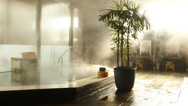 A steam room with a large potted plant, a wooden bench, and a tiled floor. - Wellness Forest NASU (Nasu)
