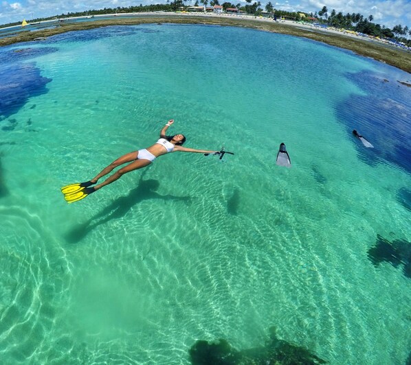A person swimming in clear turquoise water with a beach and palm trees in the background. - Furnished studio apartment in Piedade (Jaboatão dos Guararapes)