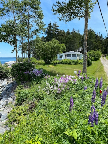 Stunning Views on Ocean's Edge. Pebble beach, sunbathing, firepit and grill.