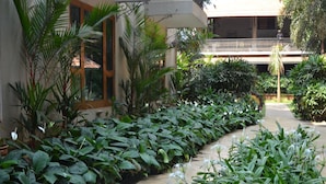 Un sendero en un jardín bordeado de plantas y árboles verdes, que conduce a un edificio con un balcón.