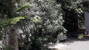 庭園
