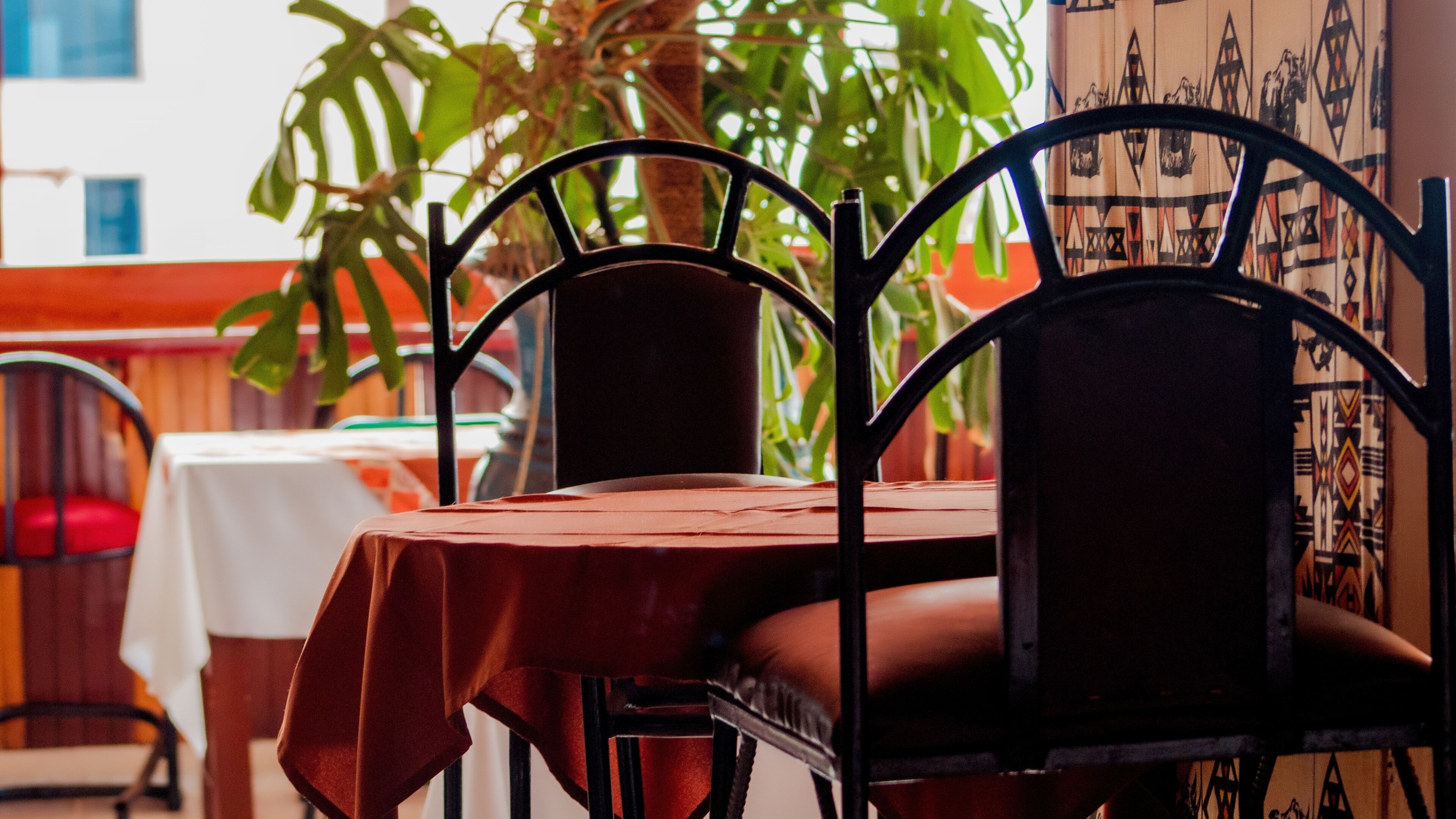 A dining area with a table and chairs, a plant, and a patterned wall.