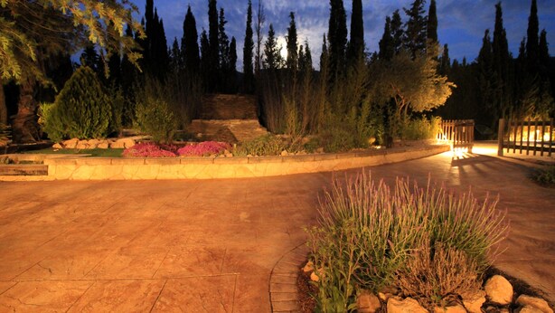 Un espacio exterior pavimentado con un sendero curvo, rodeado de plantas y árboles, que lleva a una estructura de madera.