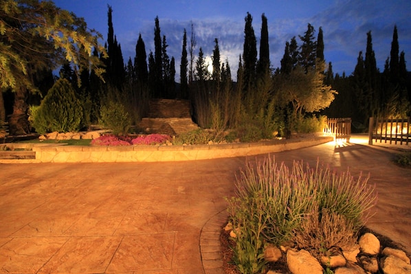 Un'area esterna pavimentata con un sentiero curvo, circondata da piante e alberi diversi, che conduce a una struttura in legno.