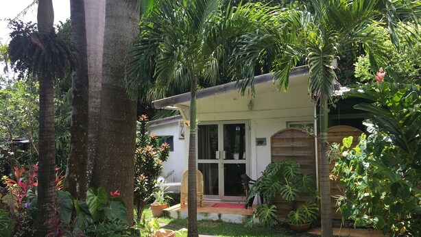 Een huis omgeven door weelderige begroeiing, waaronder palmbomen en diverse planten.
