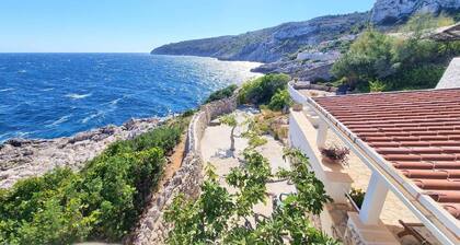 Taiteilijat unelma meritalo Ciolo